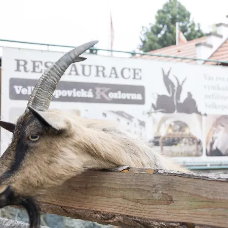 U Ledu 3* Velké Popovice