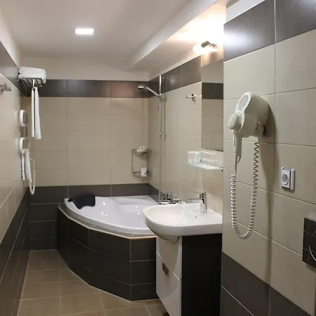 Hotel U Ledu 3*