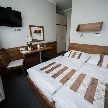 Hotel U Ledu