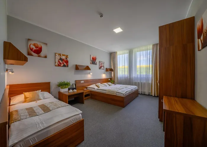 Hotel U Ledu 3*