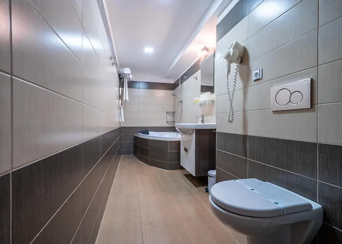 Hotel U Ledu